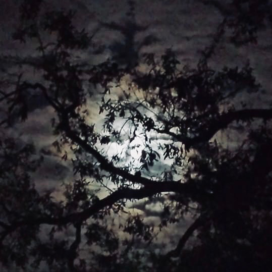 Finding Light in the Dark